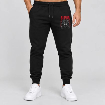 Pantaloni sport pentru bărbați / Pantaloni de trening - 338