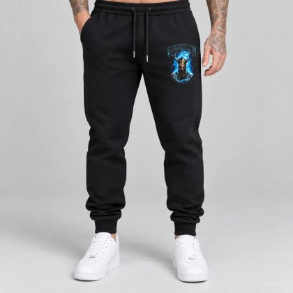 Pantaloni sport pentru bărbați / Pantaloni de trening - 222