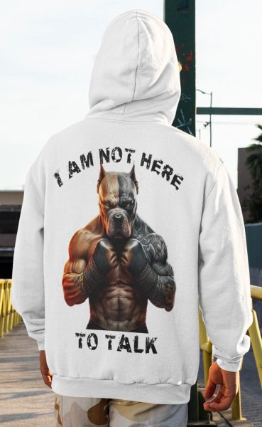 Hoodie ΔΕΝ ΕΙΜΑΙ ΕΔΩ ΓΙΑ ΝΑ ΜΙΛΗΣΩ