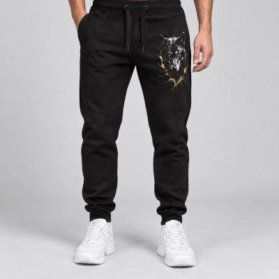 Pantaloni sport pentru bărbați / Pantaloni de trening - 38