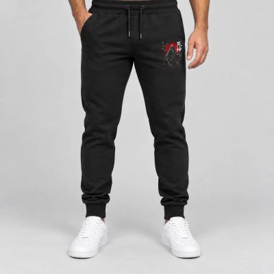 Pantaloni sport pentru bărbați / Pantaloni de trening - 362
