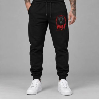 Pantaloni sport pentru bărbați / Pantaloni de trening - 331